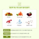 아리클린 네이버블로그