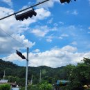 별나라투어(주) | [일상] 일상을 채우는 방법 (~25. 7. 25.)