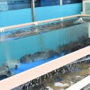 회 조개마을 이미지