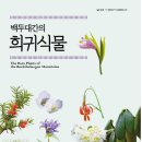 백두 이미지