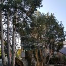 뚜벅이 강사와 떠나는 세계 미술관 기행 | 211023 서촌미술기행