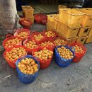 오쇼 하우스 이미지