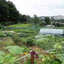 강남 빠진 GB 해제, 전문가 공통 반응은 "당장 집값 잡긴 어려워" 기사 이미지