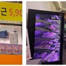 신도시정육점 - 서귀포시 김정문화로 69 | 신도시정육점
