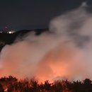 장량동주민센터 | 포항 북구 장성동 야산서 산불... 1시간 여 만에 주불 진화