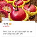 빵공장 소운 이미지