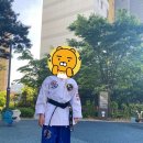 동탄MTA태권도장 | 경기도 화성시 용인대MTA태권도장, 위치, 가는법, 후기