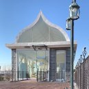 산책하는 고양이 이미지