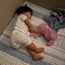 음메행복하소농장 | [공지] 주간일기ep282. 생후 9개월 핵인싸 신생아 육아기록과 신혼부부 현실 집밥