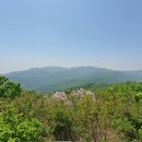 심적유원지 이미지