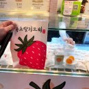 인생닭강정 미아사거리역점 | 속초중앙시장먹거리 내돈내산솔직후기 중앙닭강정 속초딸기모찌 인생역전감자전 속초새우아저씨누룽지...