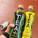 람하우스 | 차 2탄 : 바오다이 황제 여름 별장, 달랏기차역, 크레이지 하우스, 구루차이 비건 레스토랑, 달랏 야시장