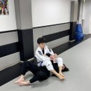 블루드래곤주짓수부천본관 | 원미 주짓수 현역 브라운벨트 관장님께 직접 배우는 블루드래곤 원미주짓수 솔직한 운동 후기