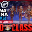 THE CLASSIC FITNESS 이미지