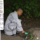 무타 이미지