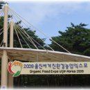 월송정 이미지