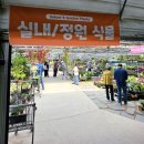 파주 조인폴리아 후기 | 식물원 감성 가득한 힐링 데이트