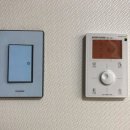 와우로34번길 이미지