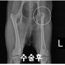 대박이 PC 이미지