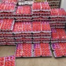 플러스홈마트 이미지