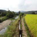 제1코스 이미지