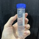 워시게러지