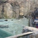 비오는 실내 정원