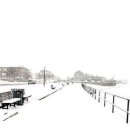 포도다방 이미지