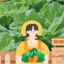 한국청년임업회