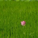 송 행정사사무소 이미지