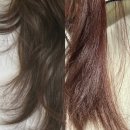 신논현미용실 어몽헤어강남점 정성아 디자이너 맞춤으로 제공되는 클리닉 솔직후기