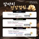 동대문 루시드 동물메디컬센터 이미지