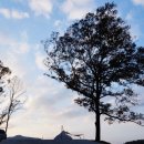 마로니에민박 이미지