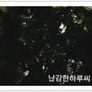 동대문엽기볶이 이미지