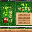 마켓하다