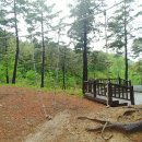 삼척동자 유아숲체험원 이미지