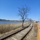 곰이네유치원 이미지