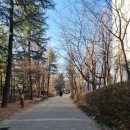 오방궤도 이미지