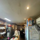 월매월매전 이미지