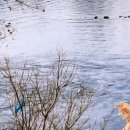 봄비식당 이미지