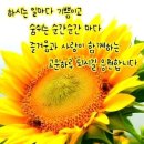 자존심 손상한 죄 이미지