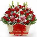 판교역로226번길 이미지