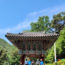 선데이모닝앤코(Sundaymorning&Co.) | 대구 자전거 카페 선데이모닝앤코 1주년 행사 피크닉 라이딩