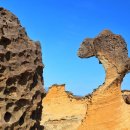 난동 | 대만 택시투어 11시간 예스진지스폭수이난동 코스 완벽 후기