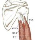 PT특별관 이미지