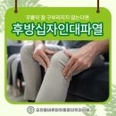 오천365올바른정형외과마취통증의학과의원 이미지