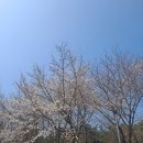 월드장 - 영주시 원당로 65 | 월드장