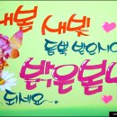 새빛안경점 이미지