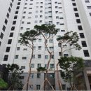 팔달드림공인중개사사무소 이미지