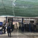 애니카랜드토월점 이미지